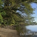 beach_walindi_kb_h_0176_png0220.jpg